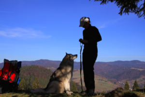 Kurs "Dogtrekking rekreacyjny - poziom I" 
