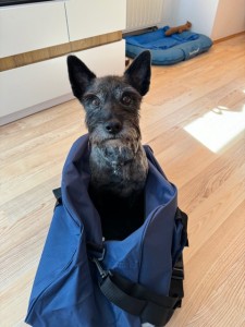 Torba behawiorysty - trenera