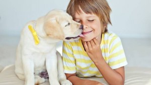 Webinarium- Covidowe Szczeniaki