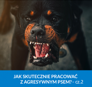 Webinarium - strategia i taktyka pracy z psem agresywnym - część 2