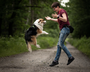Webinarium- Sztuka skutecznego przywołania